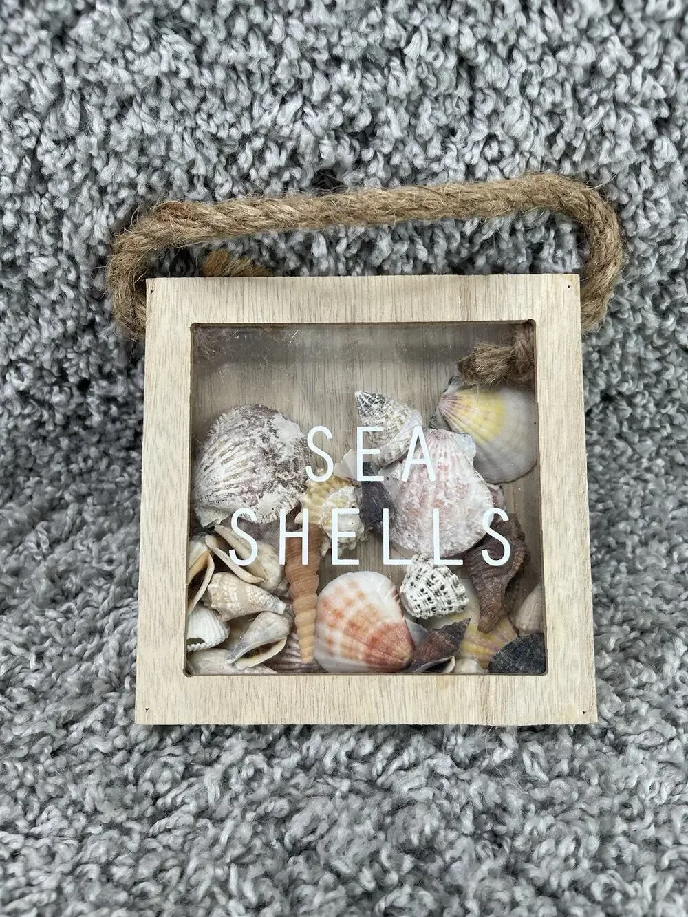 Homemade Seashell Shadow Box Small Hanging Or Freestanding Home Decor
